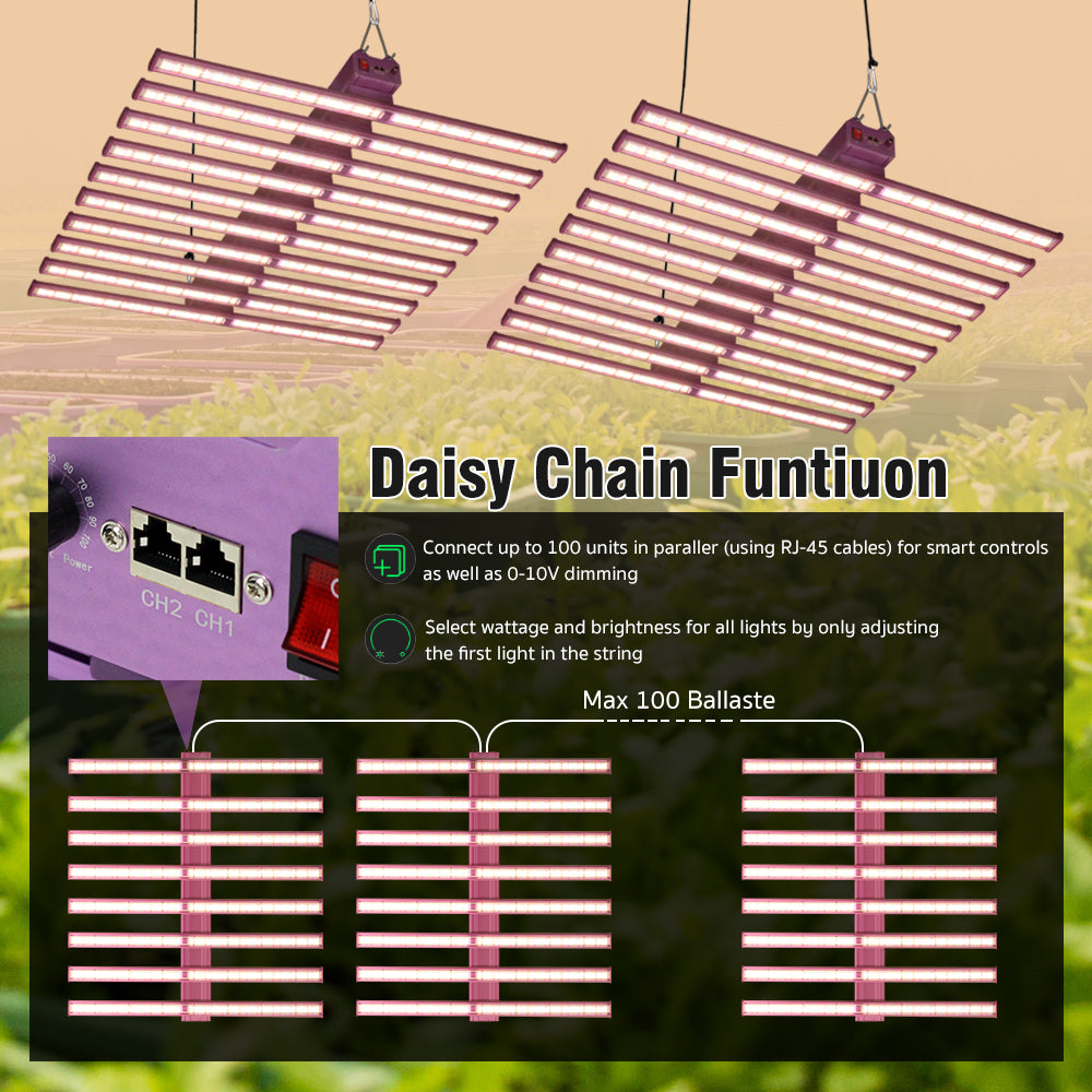 Daisy chain Funtiuon of grow led