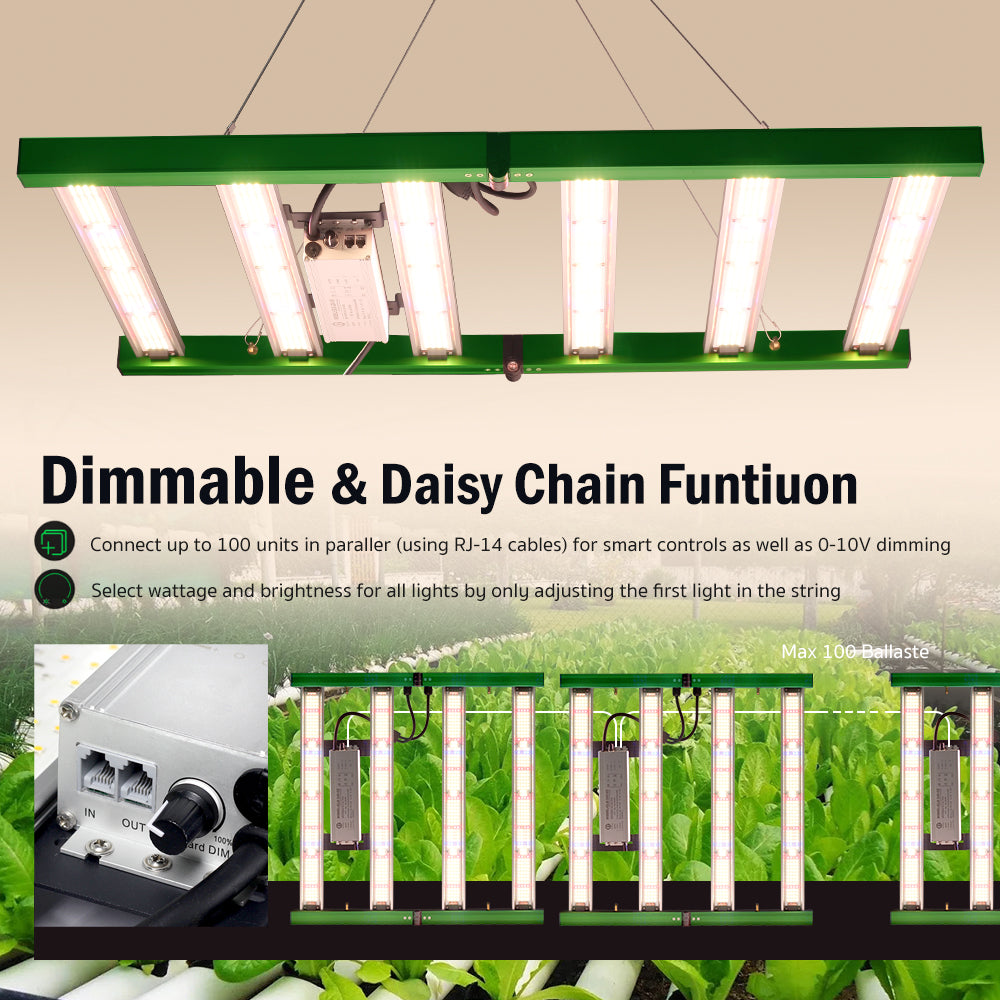 Dimmable & Daisy Chain Funtiuon