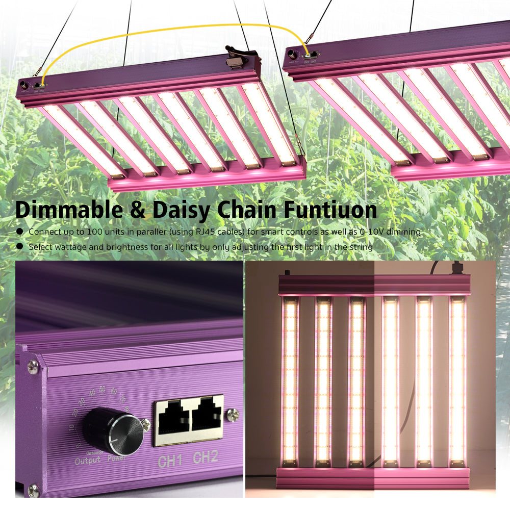 Dimmable & Daisy chain Funtiuon