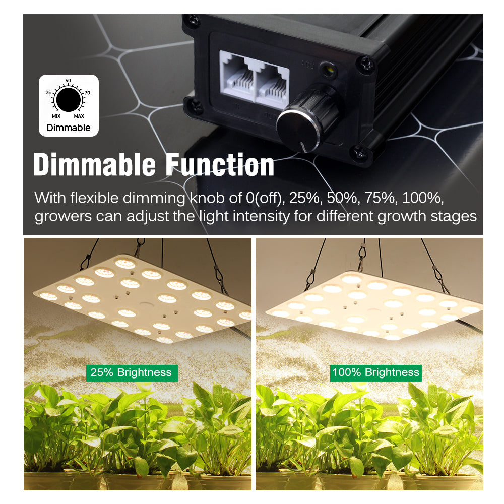 GRAIDEA Full Spectrum LED Grow Light For Greenhouse Plants 100W SMD281B Growing Lamp For Indoor Plants Veg Flowers