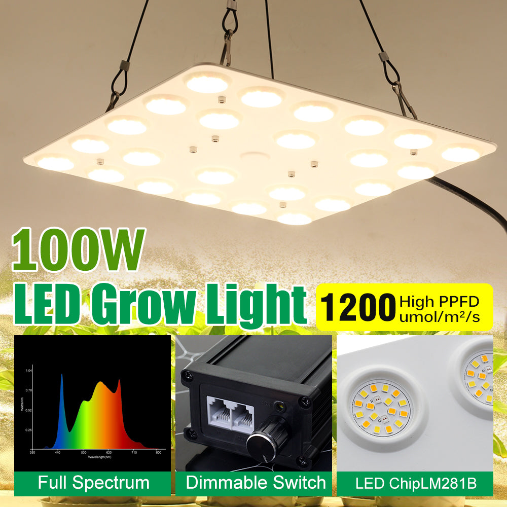 GRAIDEA Full Spectrum LED Grow Light For Greenhouse Plants 100W SMD281B Growing Lamp For Indoor Plants Veg