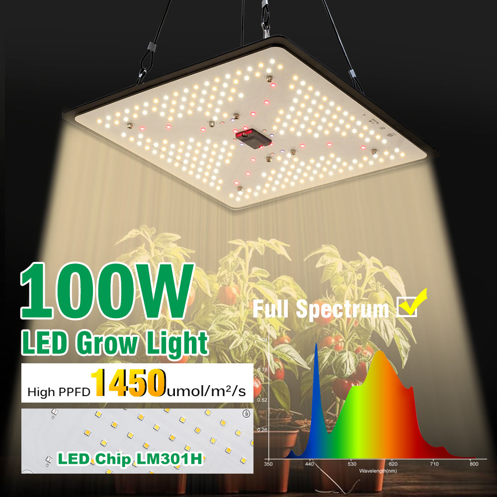 GRAXIDEA LED grow light 100W LED Grow Light Full Spectrum For Greenhouse Hydroponic Plants growth Lighting
