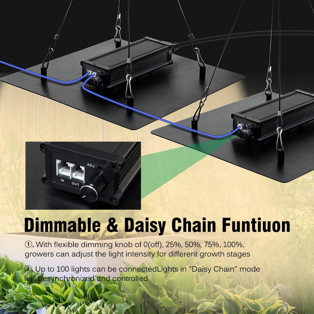 GRAXIDEA LED grow light 100W LED Grow Light Full Spectrum For Greenhouse Hydroponic Plants growth Lighting