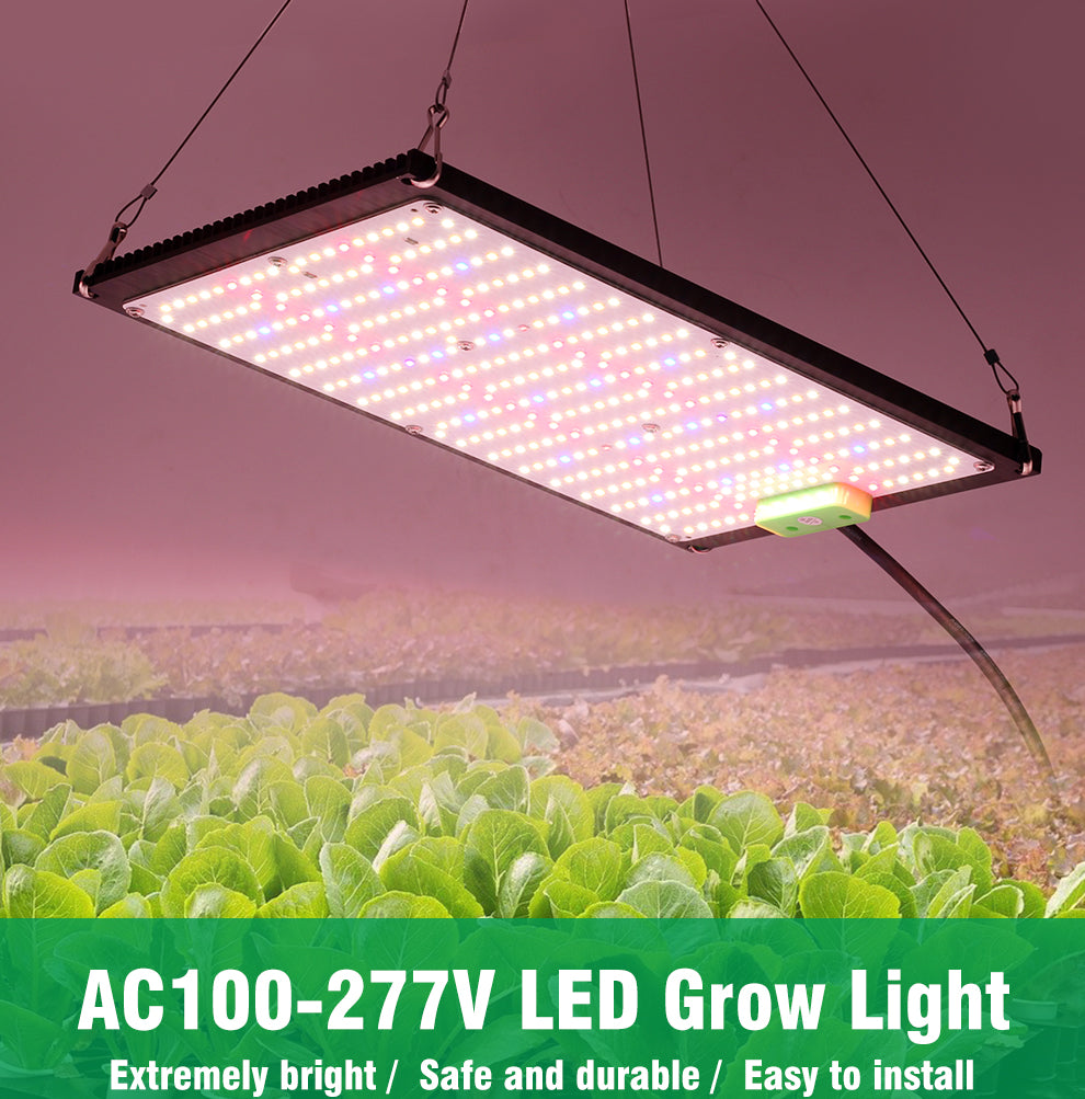 GRAXIDEA LED grow light Full Spectrum LEDGrow Light 120W 240W AC100-277VLM301H High Brightness Growth Lamp ForGreenhouse Indoor Plants Seeding led lightlampen