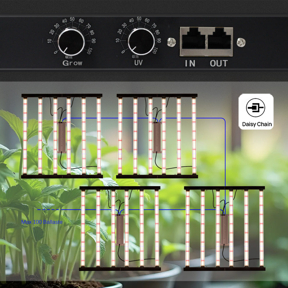 GRAXIDEA LED grow light Full Spectrum LED Grow Light LM281B 240W 320W 480W 720W 900W High Brightness For Hydroponic Tents