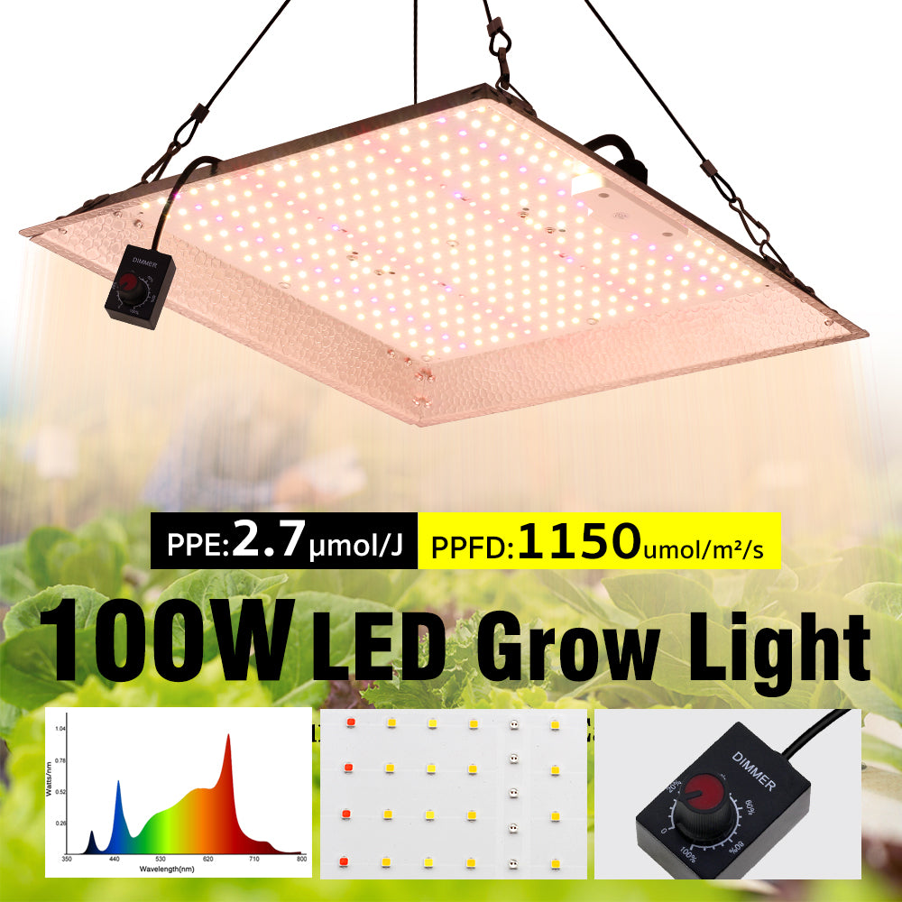 GRAXIDEA grow light 100W Full Spectrum LED Grow Light LM281B High Brightness For Greenhouse Plants Seeding Veg Flowers