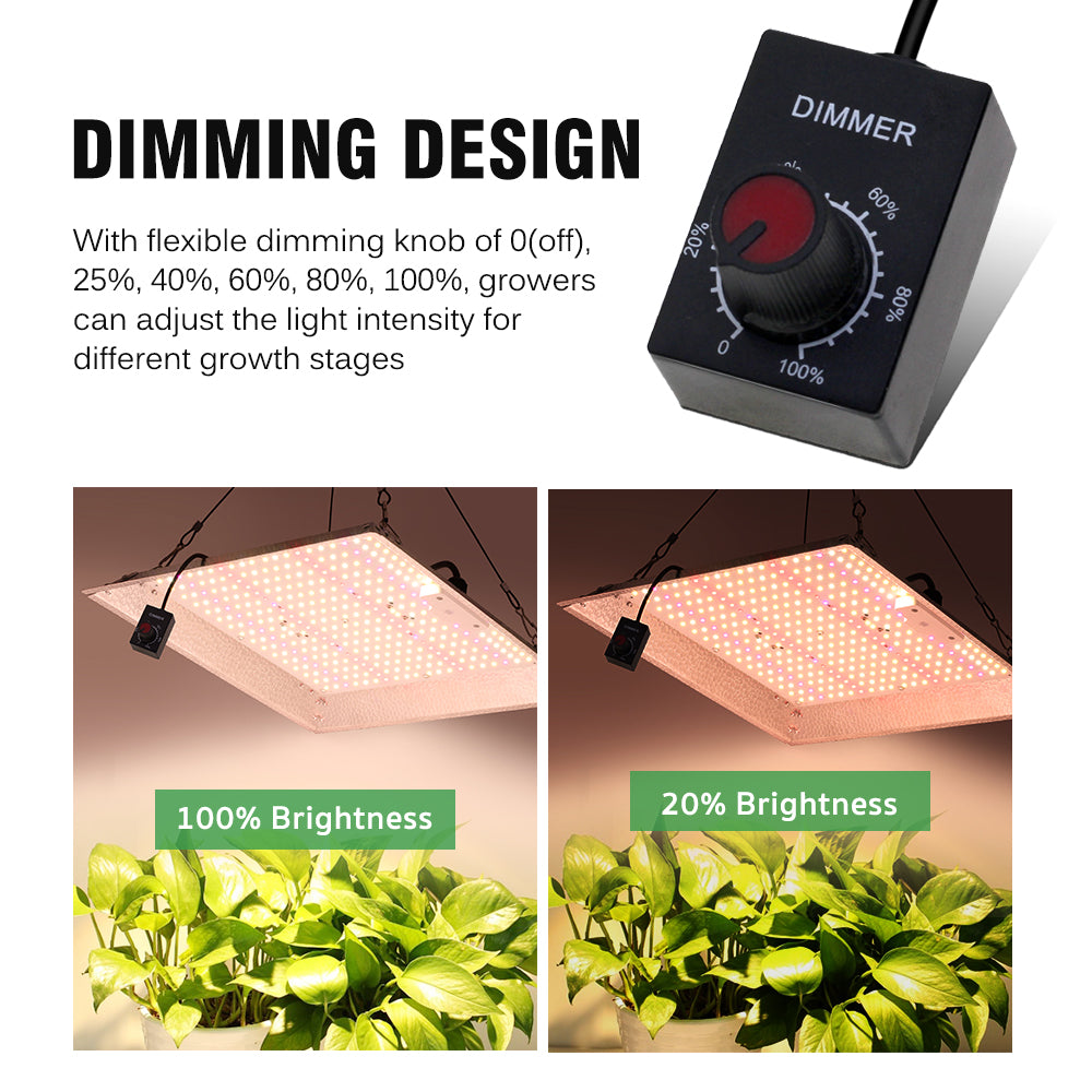 GRAXIDEA grow light 100W Full Spectrum LED Grow Light LM281B High Brightness For Greenhouse Plants Seeding Veg Flowers