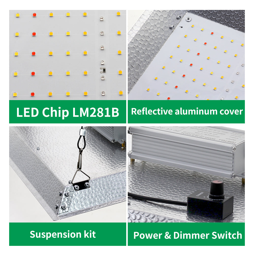 GRAXIDEA grow light 100W Full Spectrum LED Grow Light LM281B High Brightness For Greenhouse Plants Seeding Veg Flowers
