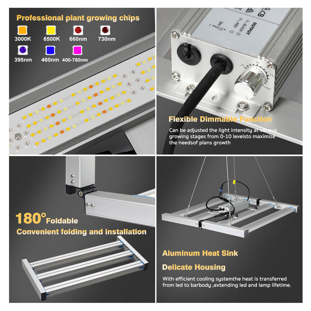 GRAXIDEA grow light Full Spectrum LED Grow Light LM281B 240W 320W 480W 720W 900W High Brightness For Hydroponic Tents