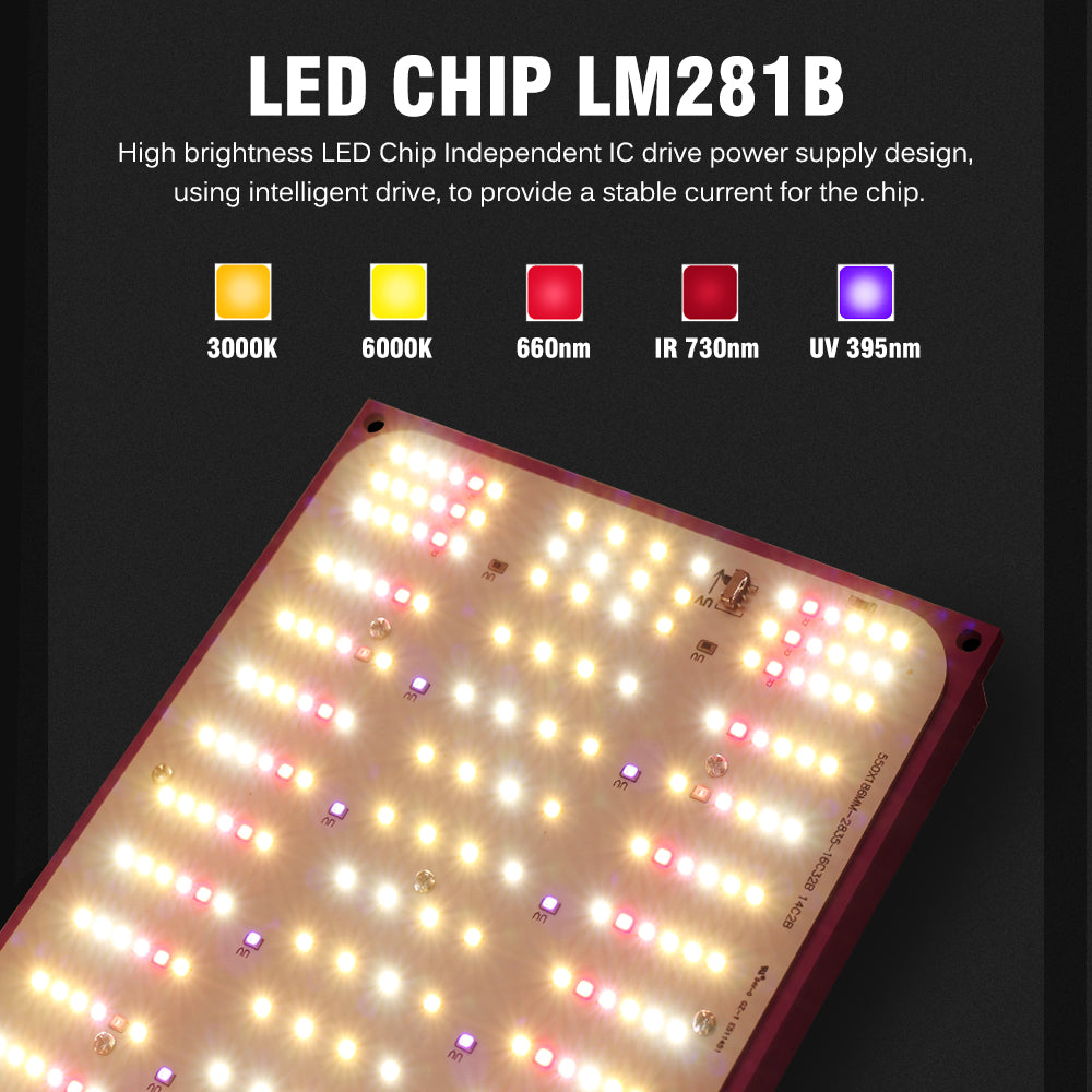 LED CHIP LM281B High brightness LED