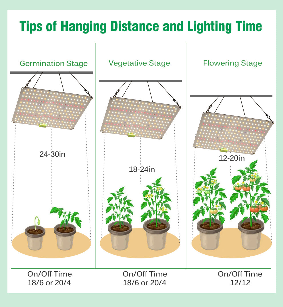 Tips of Hanging Distance and Lighting Time