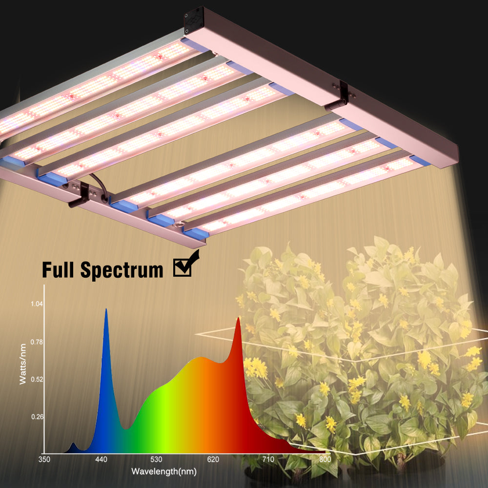 grow led Full Spectrum information