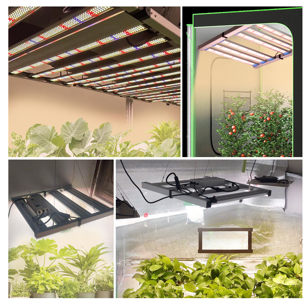 grow light