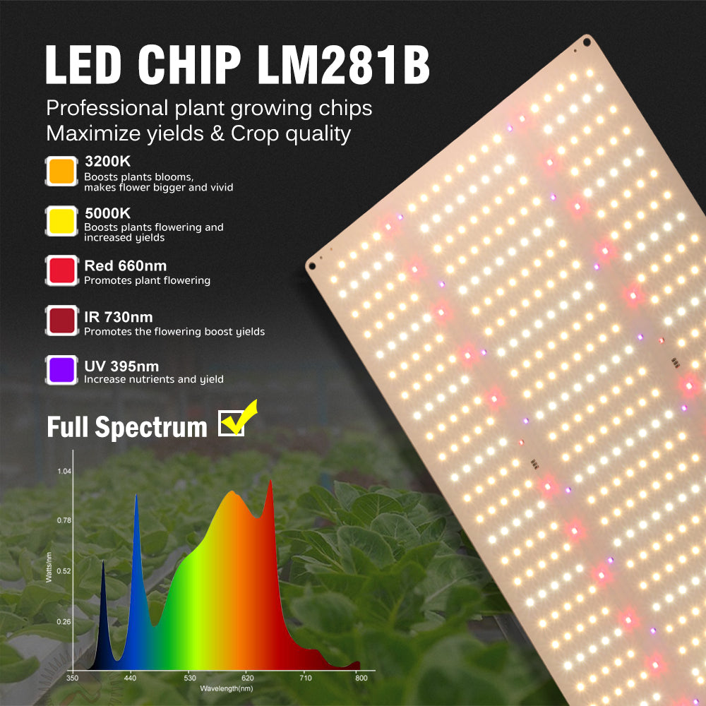 LED CHIP LM281B