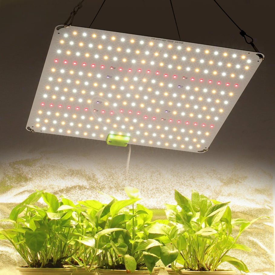 the grow light