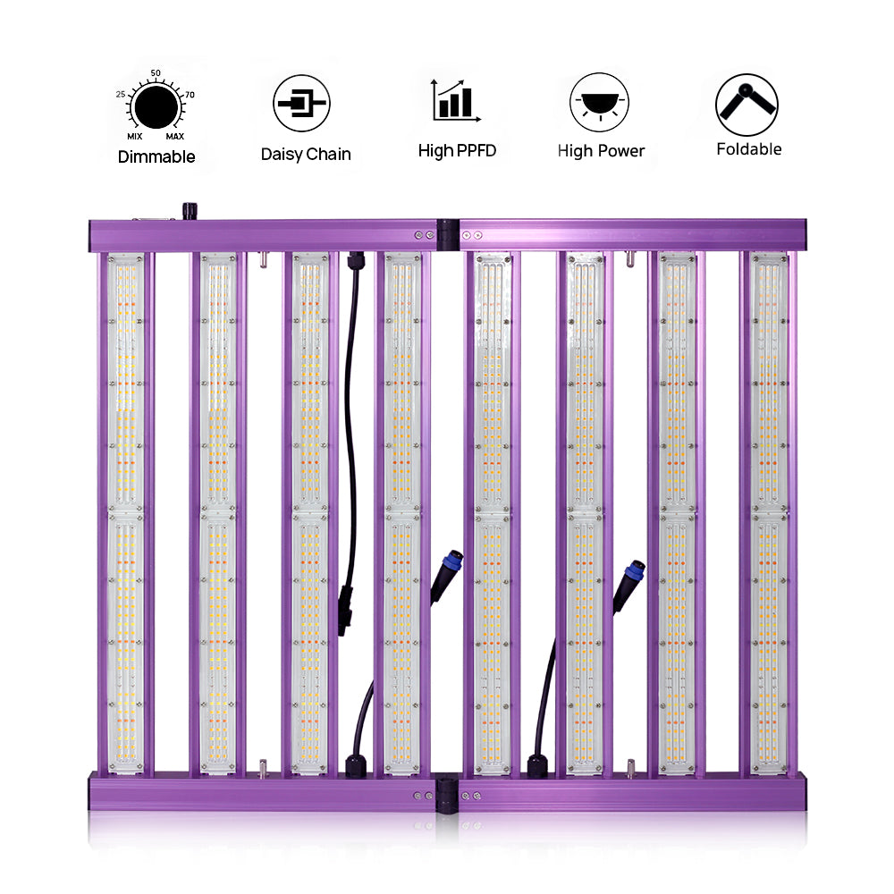 the grow light show