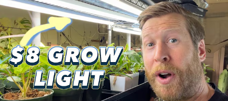 Revolutionize Your Harvest: How Germany's Green Wave is Driving LED Grow Light Adoption (Scientifically Proven to Cut Costs & Boost Yields)