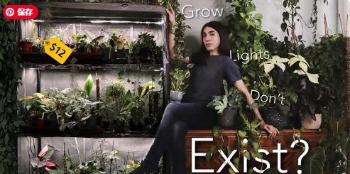 A Grower's Guide to UV Light: Understanding UVA, UVB, and UVC for Indoor Cultivation
