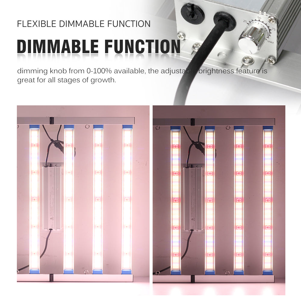 DIMMABLE FUNCTION