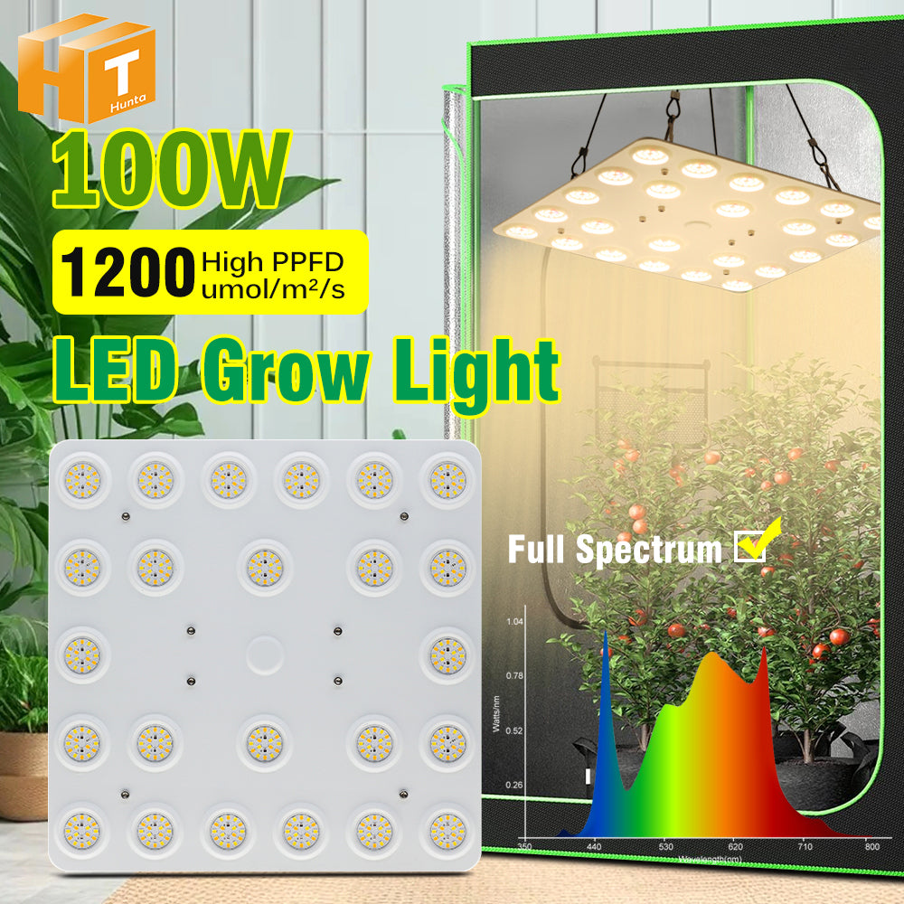 GRAIDEA  Full Spectrum LED Grow Light For Greenhouse Plants 100W SMD281B Growing Lamp For Indoor Plants Veg Flowers