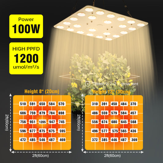GRAIDEA  Full Spectrum LED Grow Light For Greenhouse Plants 100W SMD281B Growing Lamp For Indoor Plants Veg Flowers