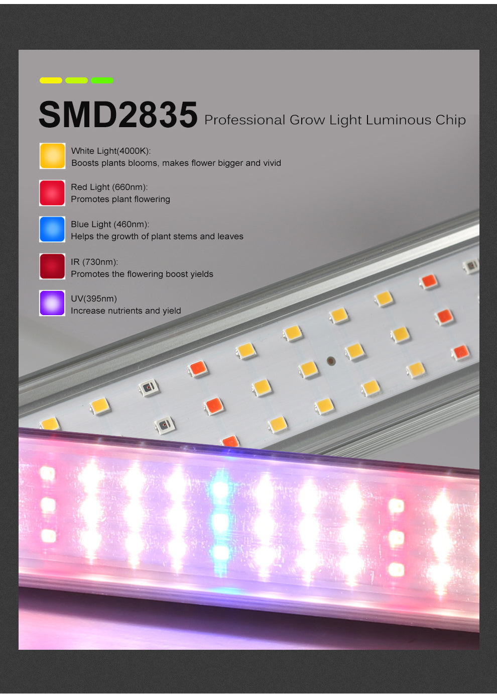 GRAXIDEA LED Grow Light Bar Full Spectrum AC100-265V SMD2835 