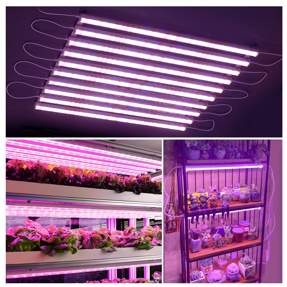 GRAXIDEA LED Grow Light Bar Full Spectrum AC100-265V SMD2835  For Plants Fruit Trees 