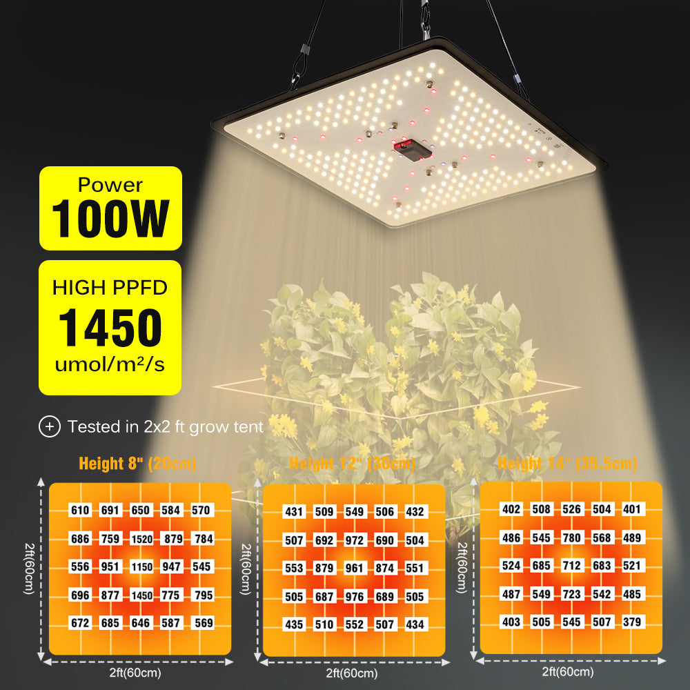 GRAXIDEA LED grow light 100W LED Grow Light Full Spectrum For Greenhouse Hydroponic Plants growth Lighting