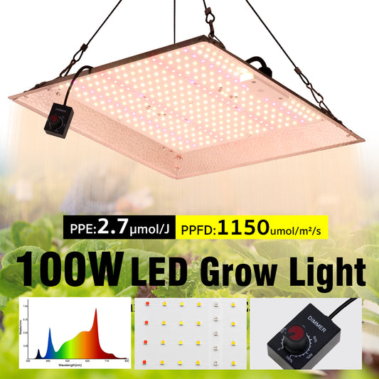 GRAXIDEA grow light 100W Full Spectrum LED Grow Light LM281B High Brightness For Greenhouse Plants Seeding Veg Flowers