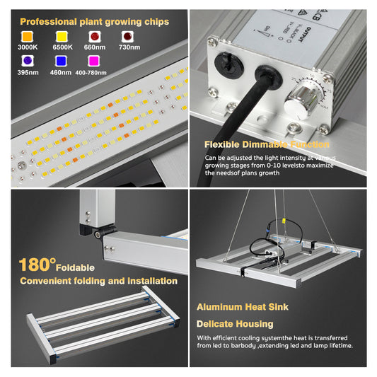 GRAXIDEA grow light Full Spectrum LED Grow Light LM281B 240W 320W 480W 720W 900W High Brightness For Hydroponic Tents