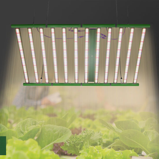 GRAXIDEA LED grow light 1200W 1320W Full Spectrum LED Grow Light LM281B High Brightness For Greenhouse Tent Plants
