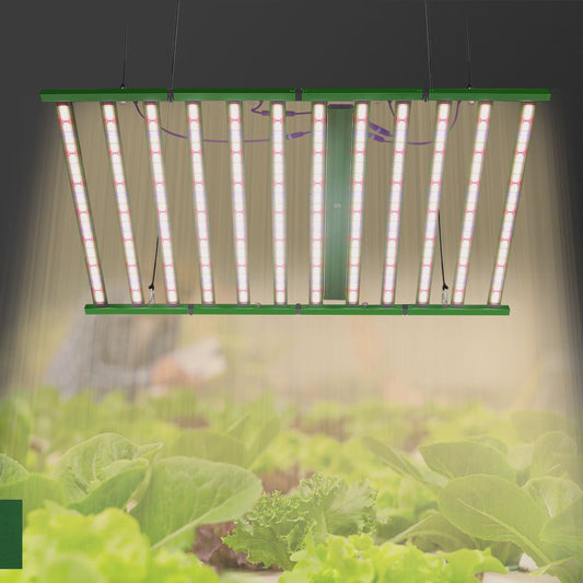 GRAXIDEA LED grow light 1200W 1320W Full Spectrum LED Grow Light LM281B High Brightness For Greenhouse Tent Plants
