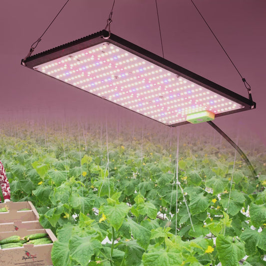  LED grow light Full Spectrum LEDGrow Light 120W 240W AC100-277V video