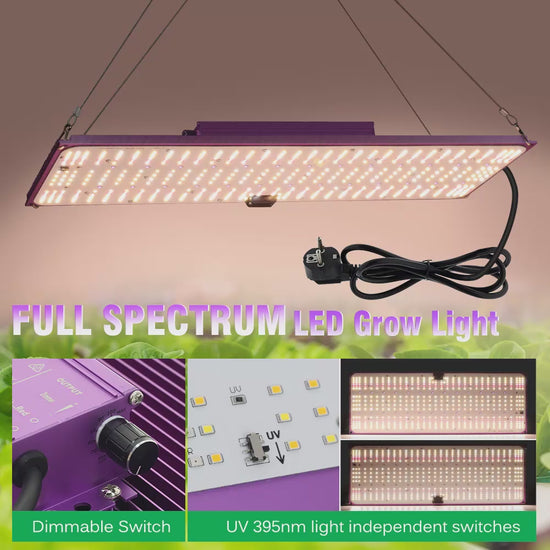 GRAXIDEA LED grow light120W 240W Ful!Spectrum LED Grow Light For Greenhouse