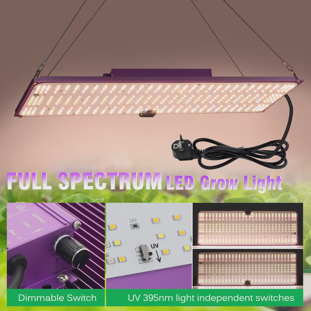 GRAXIDEA LED grow light120W 240W Ful!Spectrum LED Grow Light For Greenhouse