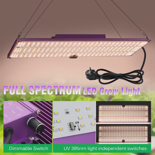 GRAXIDEA LED grow light120W 240W Ful!Spectrum LED Grow Light For Greenhouse