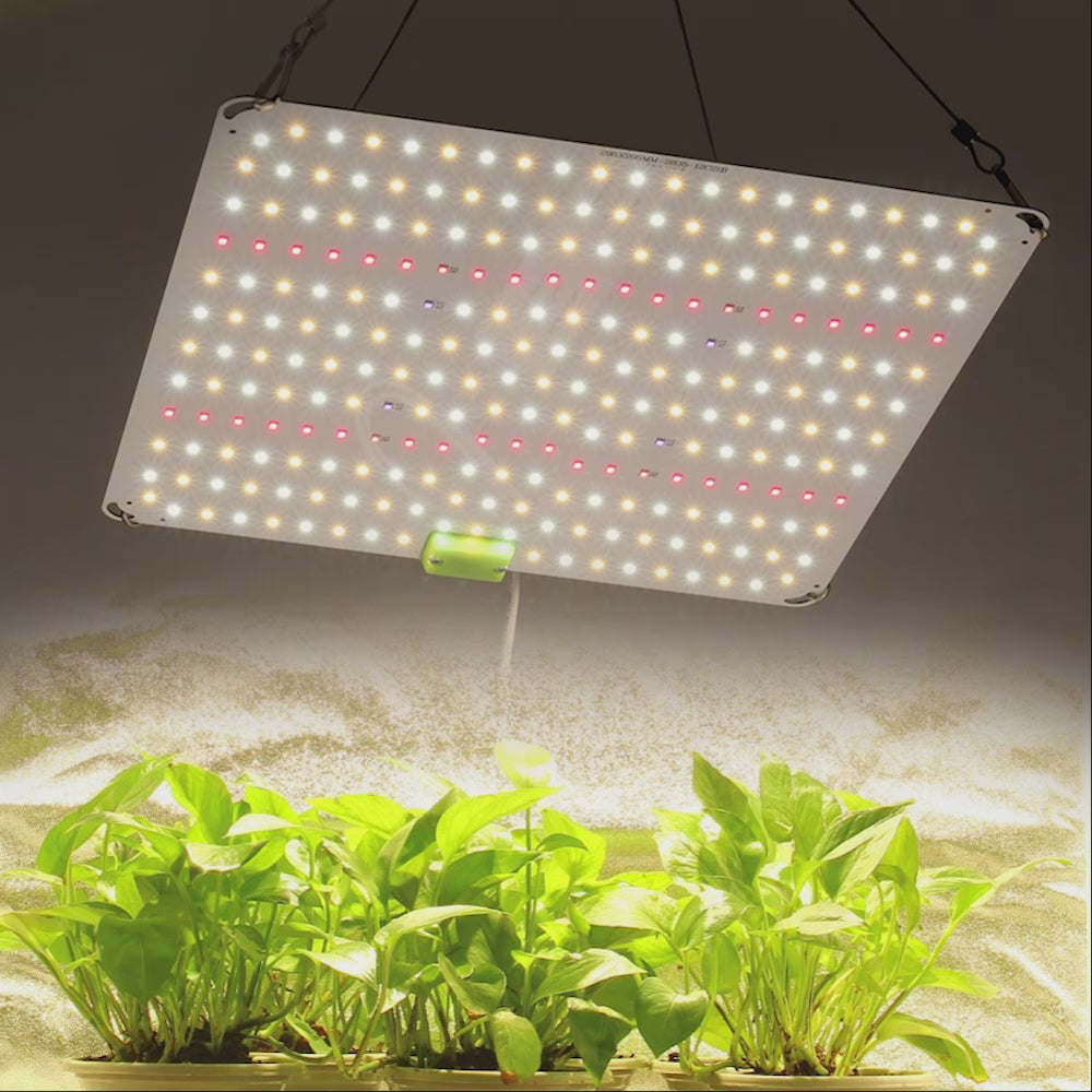GRAXIDEA LED grow lightFull Spectrum LED Grow Light High PPFD Super Brightness LM281B For Greenhouse Hydroponic Growing Lamp Plants led light lampen