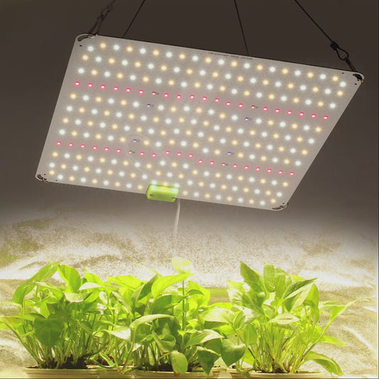 GRAXIDEA LED grow lightFull Spectrum LED Grow Light High PPFD Super Brightness LM281B For Greenhouse Hydroponic Growing Lamp Plants led light lampen