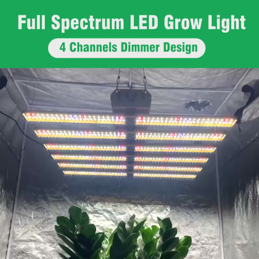 GRAXIDEA LED grow lightFull Sprectru LED Grow Light 500W 900W LM281B Osram High Brightness For Greenhouse Plant Growth Lighting