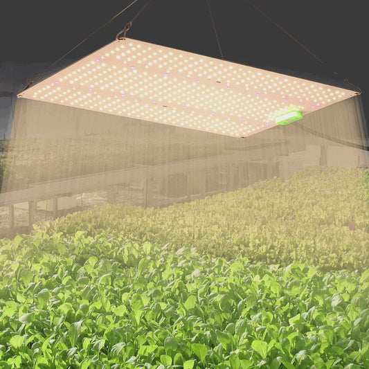 GRAXIDEA LED grow light Grow Light FullSpectrum 120W 240W LM281B Phyto LampHigh Brightness indoor Growing Light