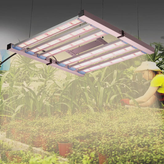  LED grow light Full Spectrum LEDGrow Light LM281B 240W 320W 480W
