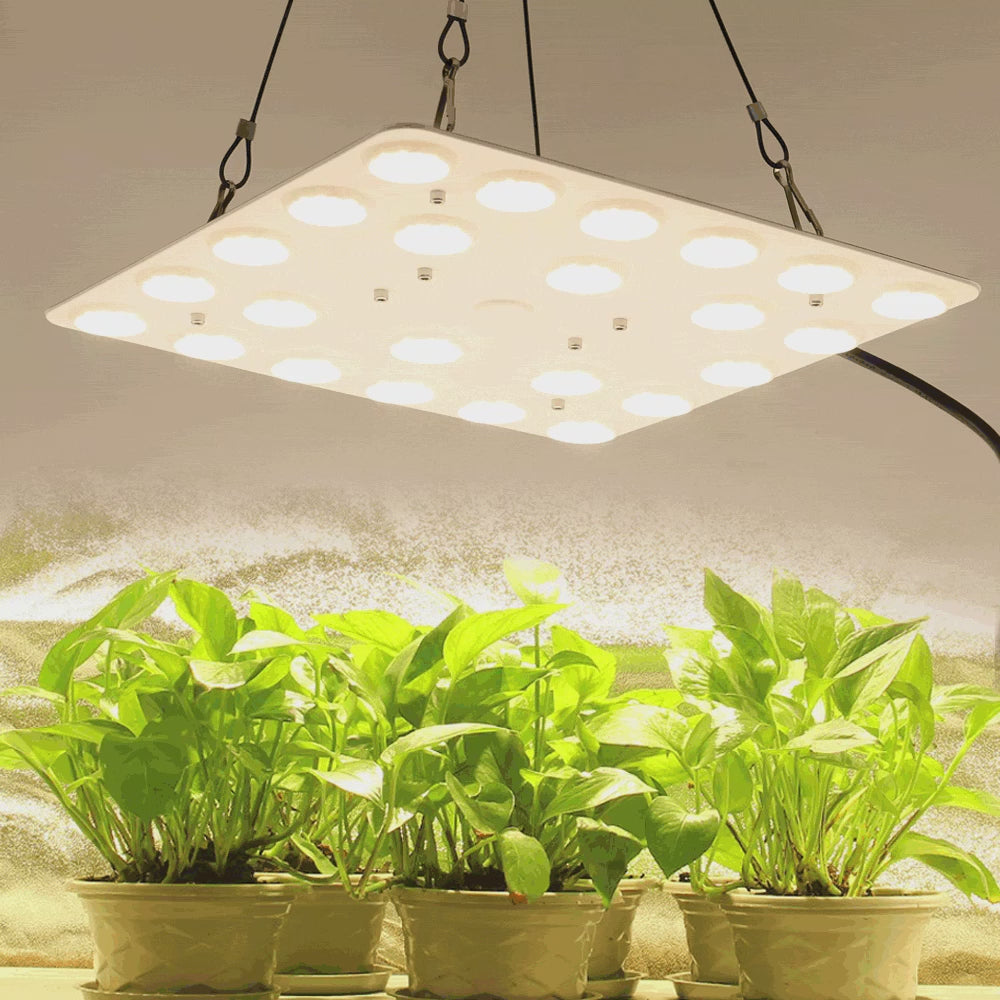 GRAIDEA  Full Spectrum LED Grow Light For Greenhouse Plants 100W SMD281B Growing Lamp For Indoor Plants Veg Flowers